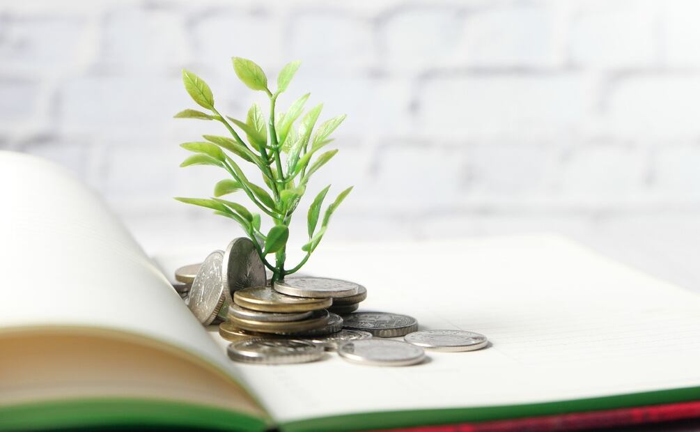 ¿Cómo ahorrar dinero rápido y fácil? (Foto: DeDinero)