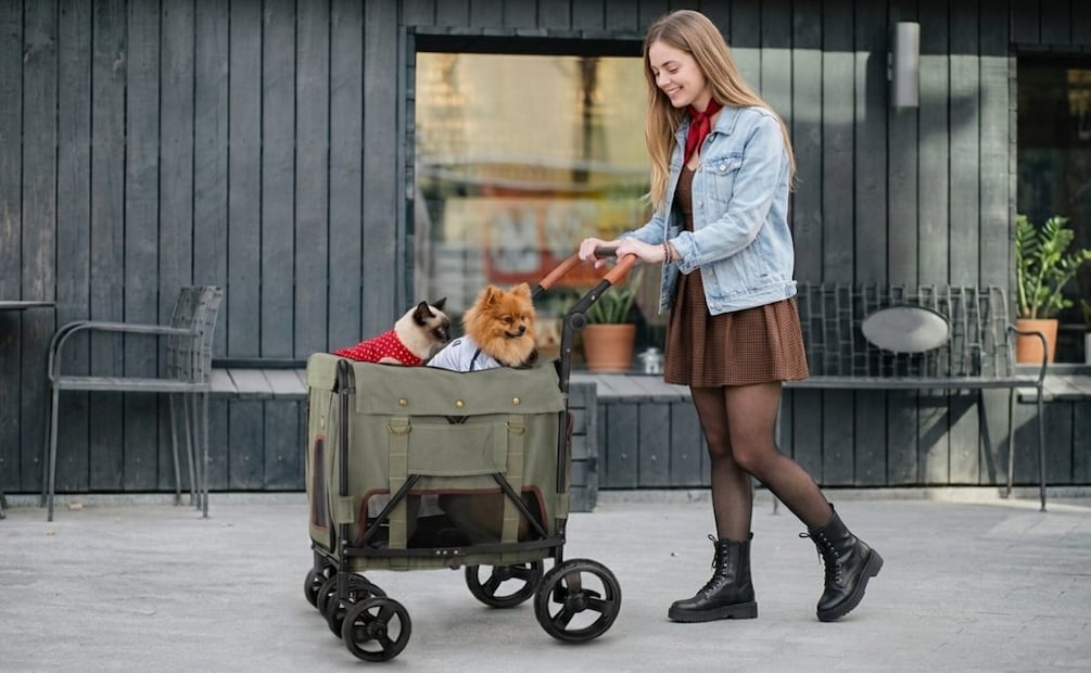 ¿Los perros pueden heredar? Esto dice la ley sobre los famosos perrhijos y gatijos. (Foto: Creada con IA)