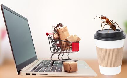 ¡Adiós a los gastos hormiga! Consejos para ahorrar hasta 18 mil pesos al año