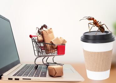 ¡Adiós a los gastos hormiga! Consejos para ahorrar hasta 18 mil pesos al año