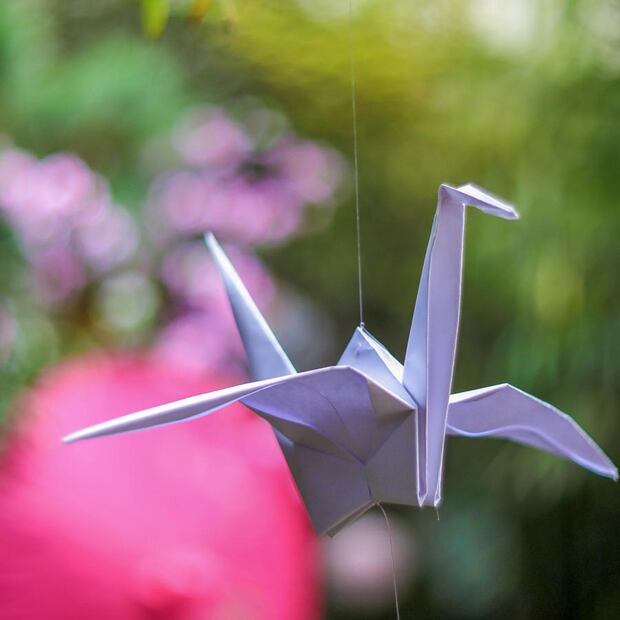 Regalar figuras de origami puede ser una opción accesible para este 14 de febrero. (Foto: Pexels)