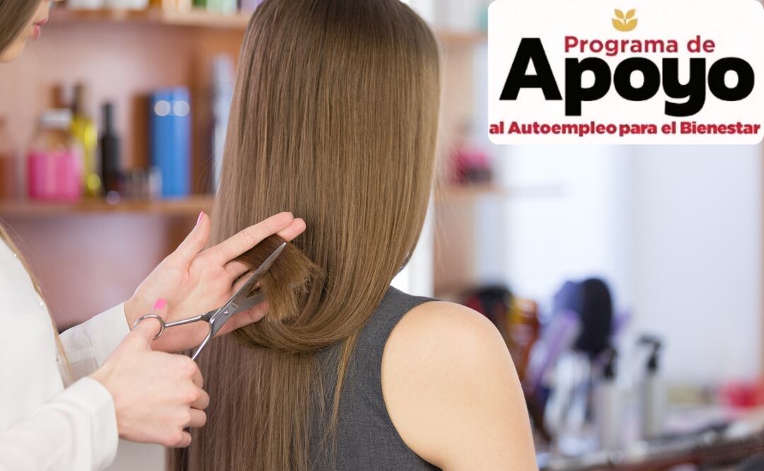 ¿Cuándo darán el Apoyo al Autoempleo para el Bienestar? (Foto: DeDinero)