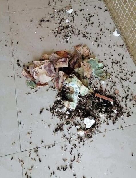 ¿Qué le pasa a los billetes en alcancías? (Foto: DeDinero)