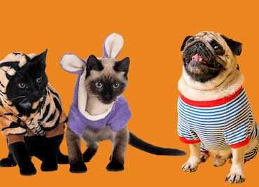 Transforma el amor por las mascotas en ingresos: 4 ideas de negocio que están en auge