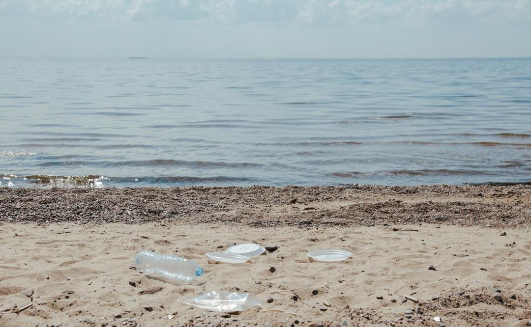 Antes de subirte al avión o al camión, checa esta información. (Foto: DeDinero)