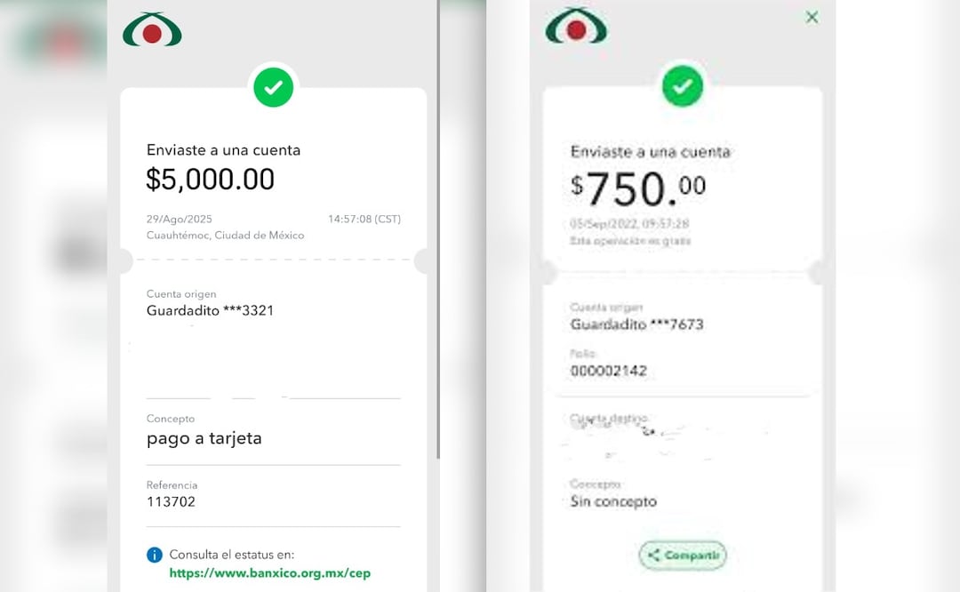 Estas plantillas están disponibles en Internet, las cuales son útiles para los delincuentes (captura de pantalla)