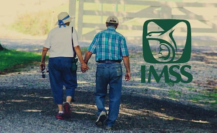 Cuántas semanas necesitas para jubilarte en 2025 según IMSS: Checa si ya te toca pensión