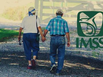 Cuántas semanas necesitas para jubilarte en 2025 según IMSS: Checa si ya te toca pensión