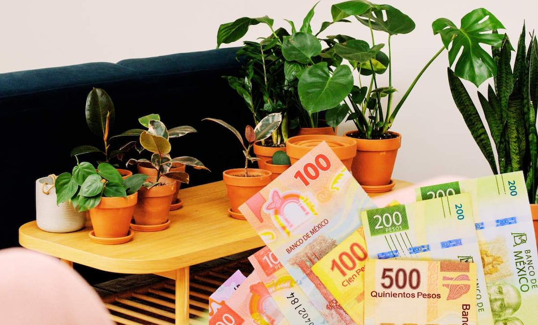 ¿Cuánto es la multa por tener una pata de elefante? (Foto: DeDinero)