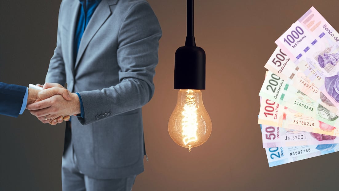 La titular de la SENER, Luz Elena González Escobar, llamó a empresas privadas a sumarse al nuevo modelo energético con inversiones que impulsen la transición verde en México (Foto: Canva)