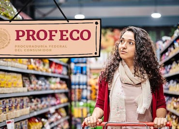 Las 10 marcas de comida recomendadas por Profeco; sorpresas de Great Value y croquetas perro y gato