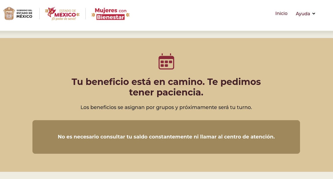 Actualmente está deshabilitada la consulta de estatus del programa. (Foto: Captura)