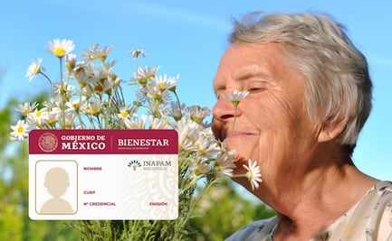 Últimas noticias credencial INAPAM 2024: Descuentos en comida, transporte, farmacias y diversión