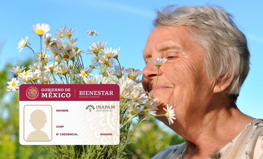 ¿Qué beneficios tengo con mi credencial de INAPAM? (Foto: DeDinero)