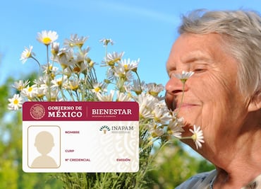 Últimas noticias credencial INAPAM 2024: Descuentos en comida, transporte, farmacias y diversión