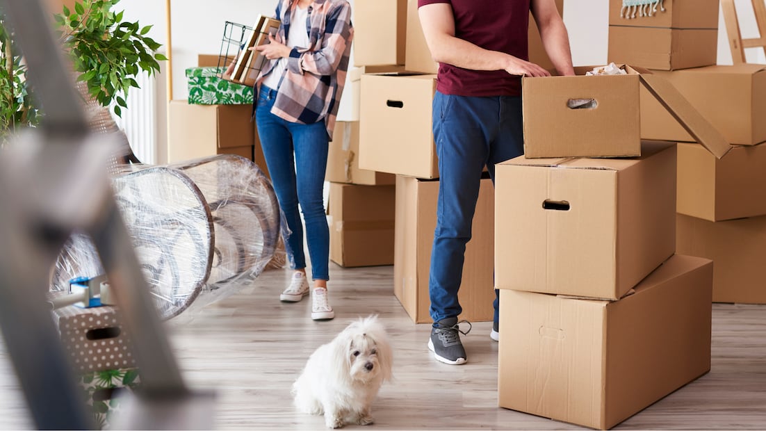 Organizar tus gastos, construir historial crediticio y aprender a usar el sistema financiero estadounidense son claves para vivir sin sobresaltos económicos (Foto: Canva)