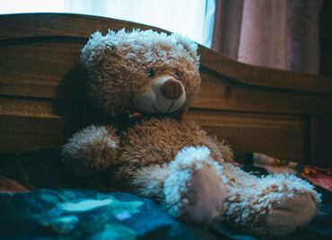 ¿Por qué se regala un Osito de Peluche este 25 de noviembre, según tiktokers?