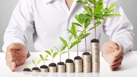 Cómo elegir entre renta vitalicia o retiro programado para tu pensión del IMSS