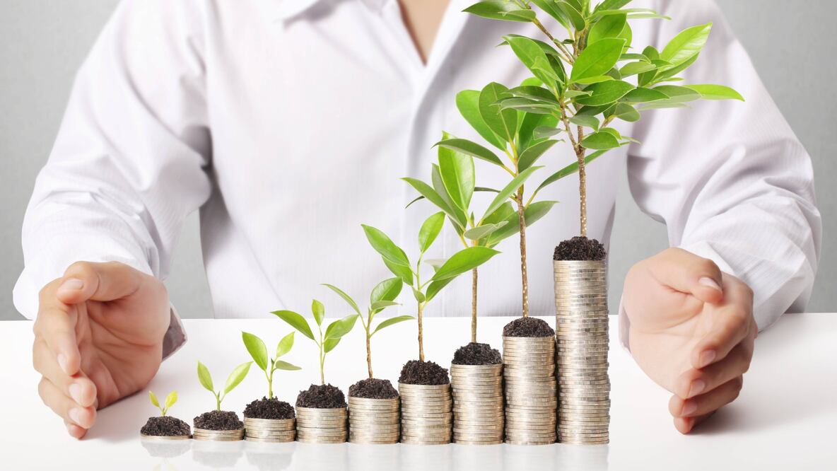 La elección entre renta vitalicia y retiro programado define cómo disfrutarás los frutos de toda una vida laboral (Foto: Canva)