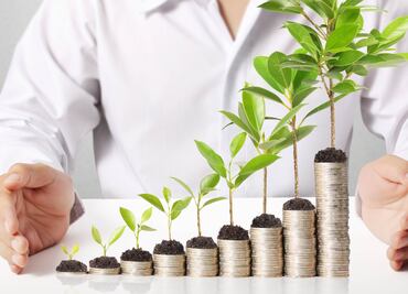 Cómo elegir entre renta vitalicia o retiro programado para tu pensión del IMSS