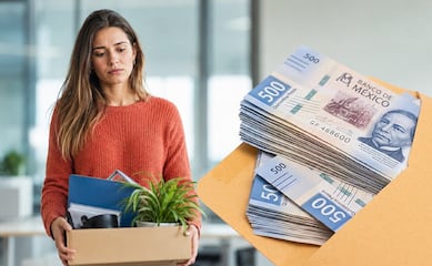 ¿Renuncias o te despiden? Conoce la diferencia entre finiquito y liquidación y evita perder dinero