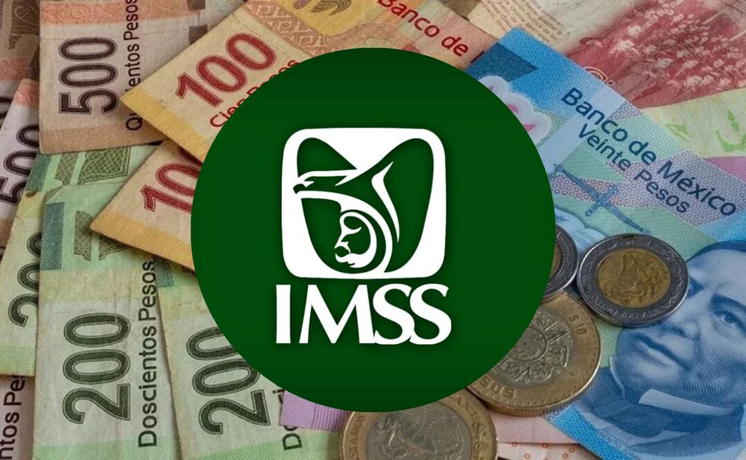 ¿Qué es la incapacidad del IMSS? (Foto: DeDinero)