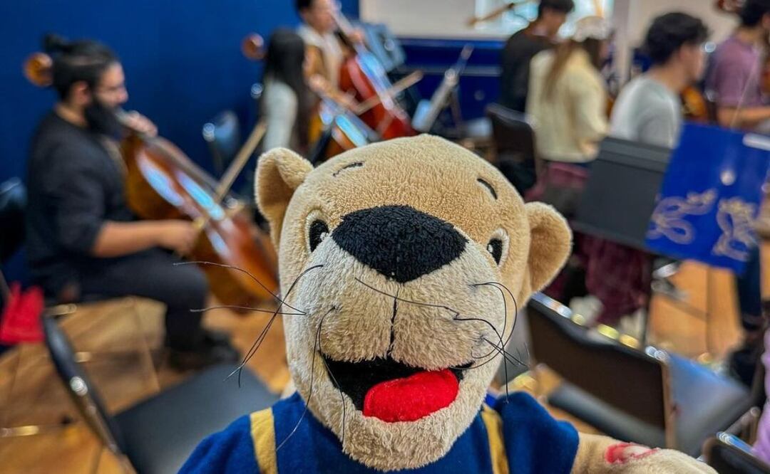 UNAM y eclipse. Fuente: Instagram @unam_mx