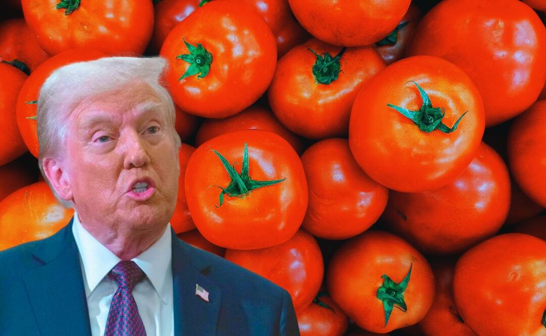 ¿Cómo nos impactan los aranceles en México? (Foto: DeDinero y El Universal)