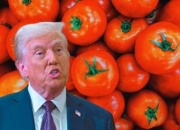 Nuevo arancel de EU: Golpe al jitomate o ventaja inesperada