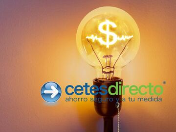 Inversiones en CETES: Cómo ganar dinero desde cero en 2025