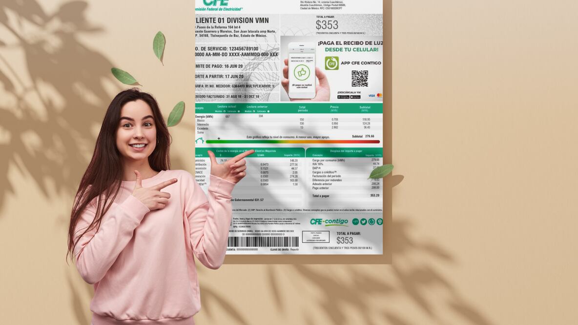 ¿Por qué es importante actualizar el titular ante la CFE? (Foto: Canva)