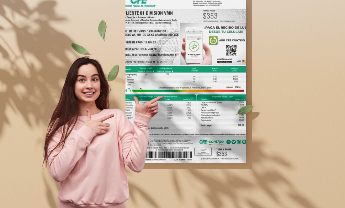¿Por qué es importante actualizar el titular ante la CFE? (Foto: Canva)