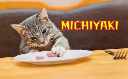 ¿Cómo hacer comida casera y barata para gatos? Receta fácil y nutritiva Michiyaki