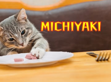 ¿Cómo hacer comida casera y barata para gatos? Receta fácil y nutritiva Michiyaki