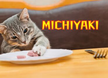 ¿Cómo hacer comida casera y barata para gatos? Receta fácil y nutritiva Michiyaki