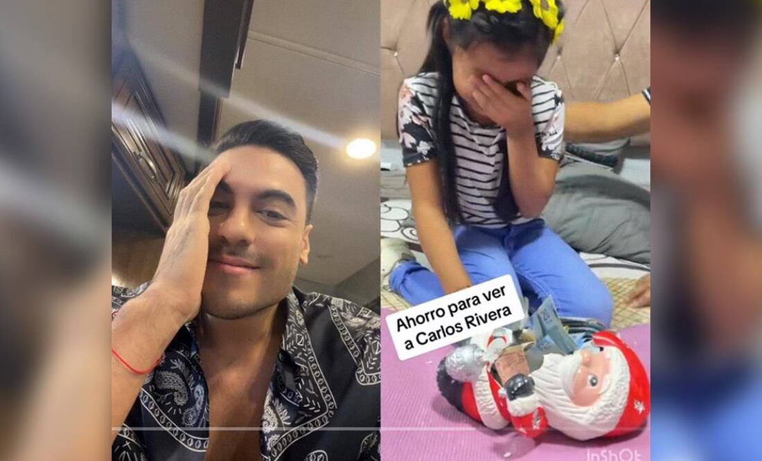 Este momento conmovió a miles de cibernautas en TikTok. (Foto: Captura)