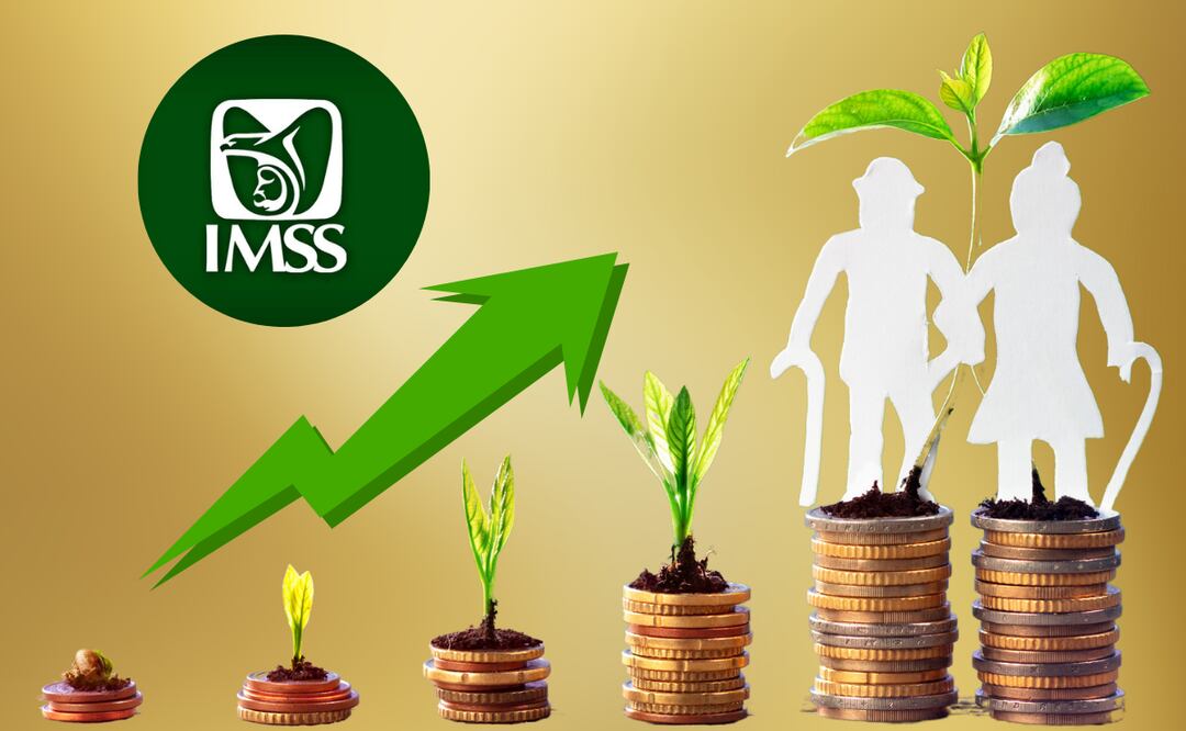 ¿Qué ventajas tiene para los pensionados la asignación familiar del IMSS? (Foto: DeDinero)