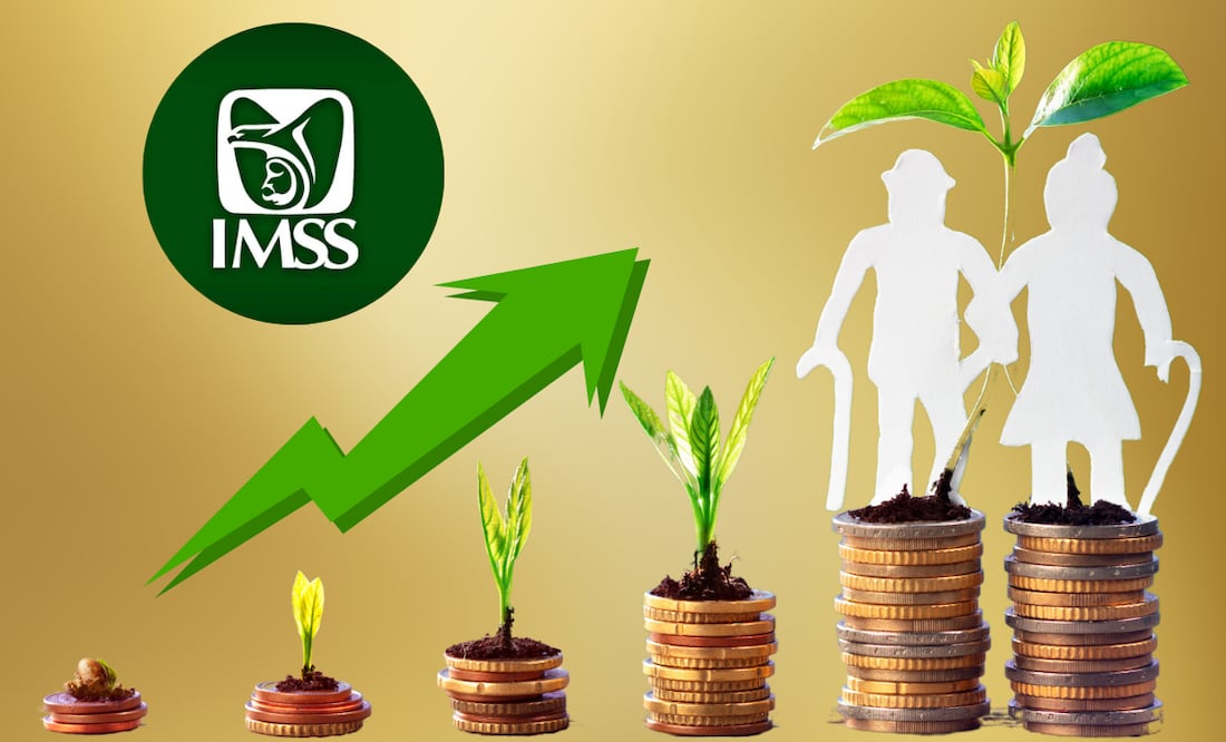 ¿Qué ventajas tiene para los pensionados la asignación familiar del IMSS? (Foto: DeDinero)