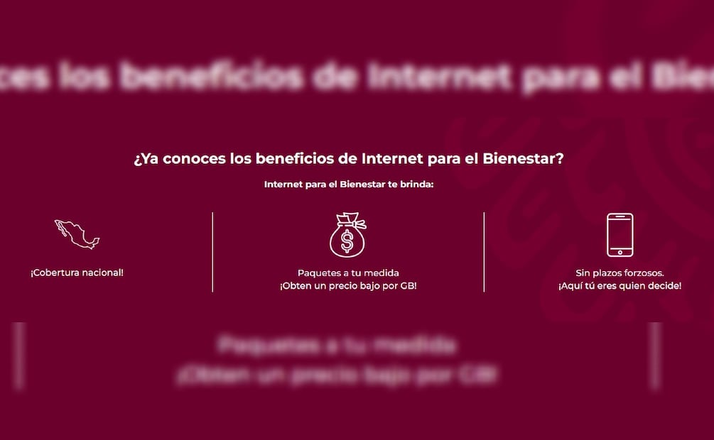 Internet para el Bienestar (Foto: Captura de pantalla https://internetparaelbienestar.mx/)