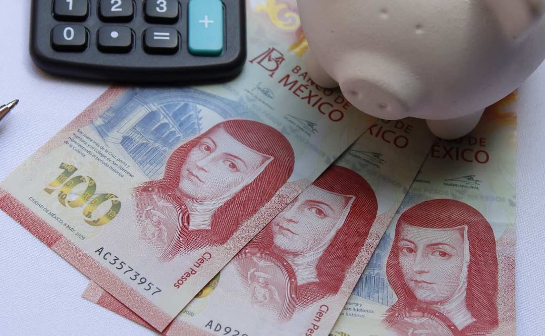 ¿Cómo funciona Bonddia en Cetes Directo? (Foto: DeDinero)