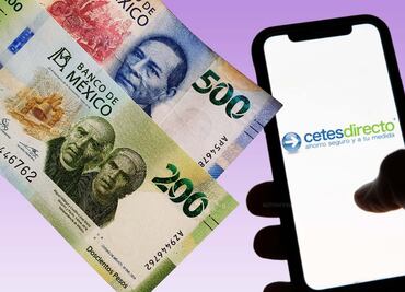 Cómo hacer que mi dinero trabaje para mí. CETES y otras estrategias para generar riqueza