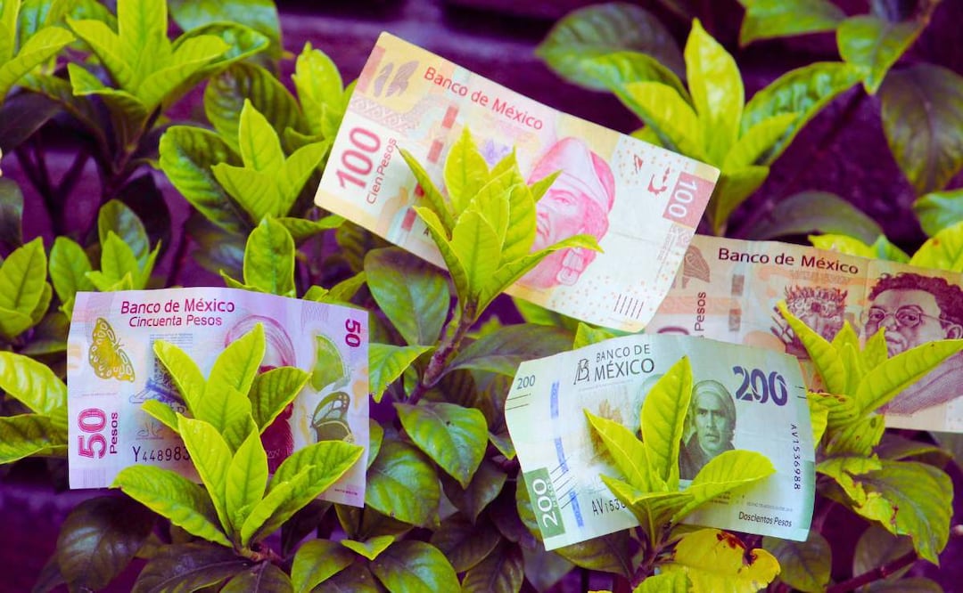 ¿Cómo se maneja la modalidad 40 del IMSS? (Foto: DeDinero)