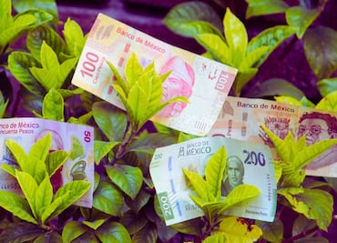 Modalidad 40 IMSS: Aumenta tu pensión, 5 consejos de un asesor