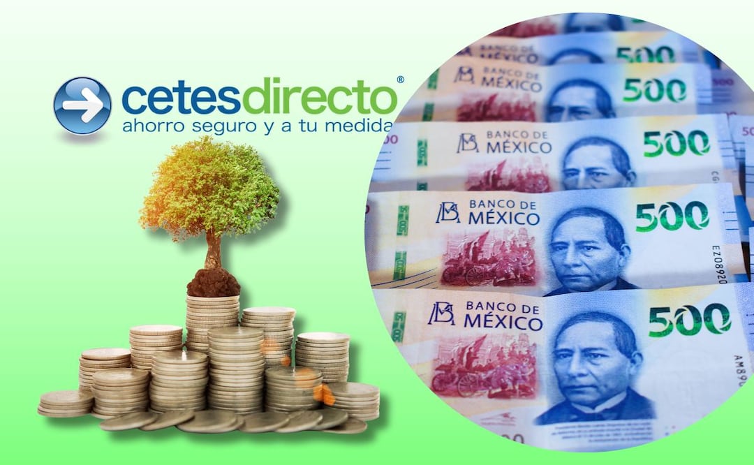 ¿Qué saber antes de invertir en CETES? (Foto: DeDinero)