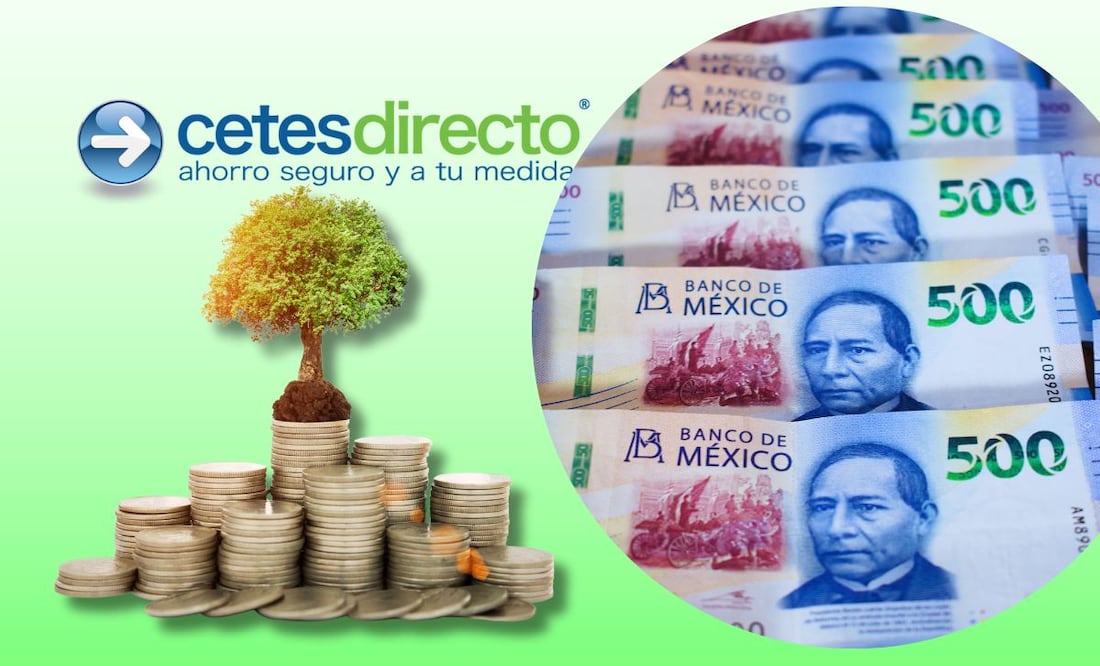 ¿Qué saber antes de invertir en CETES? (Foto: DeDinero)