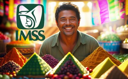 IMSS para trabajadores independientes. Así puedes acceder a la seguridad social en 2025 