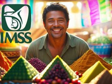 IMSS para trabajadores independientes. Así puedes acceder a la seguridad social en 2025