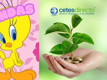 Haz crecer tu dinero en cuotas pequeñas: Invertir en Cetes hunde a las tandas por esta razón