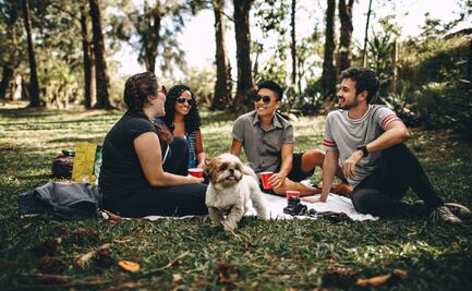 Actividades gratuitas para este domingo en CDMX, si no te gusta el Super Bowl