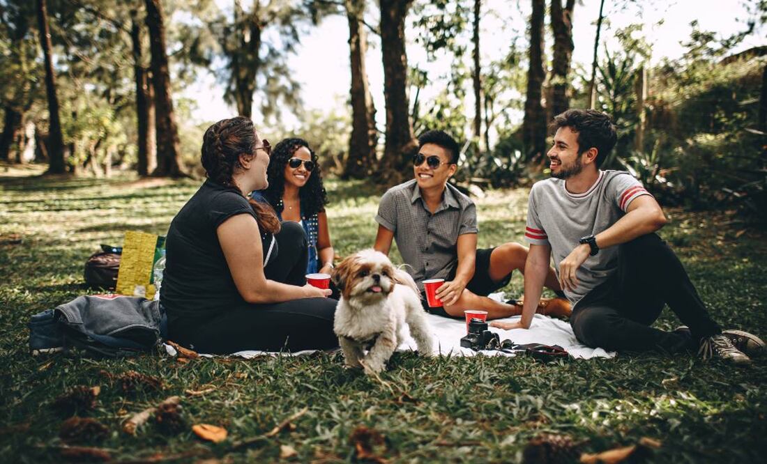 Arma tu plan para el domingo si lo tuyo no es la NFL. (Foto: DeDInero)